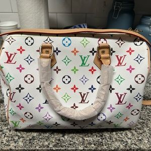 Louis Vuitton Purse Multi Color